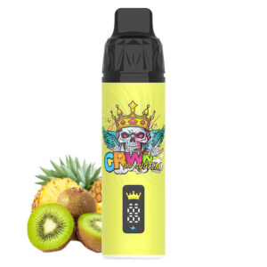 Crwn Starter Kit 9000 Puffs - Image 13