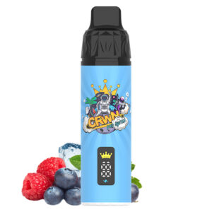 Crwn Starter Kit 9000 Puffs - Image 14