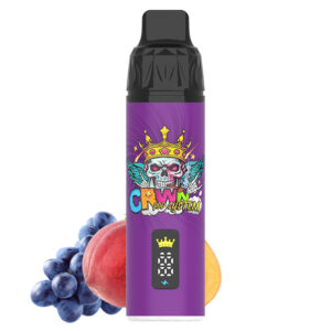 Crwn Starter Kit 9000 Puffs - Image 16