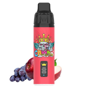 Crwn Starter Kit 9000 Puffs - Image 17