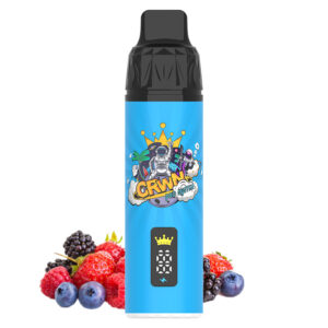 Crwn Starter Kit 9000 Puffs - Image 18