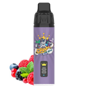 Crwn Starter Kit 9000 Puffs - Image 20