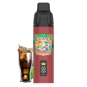 Crwn Starter Kit 9000 Puffs - Image 3