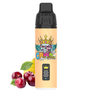 Crwn Starter Kit 9000 Puffs - Image 23