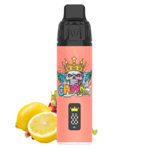 Crwn Starter Kit 9000 Puffs - Image 24