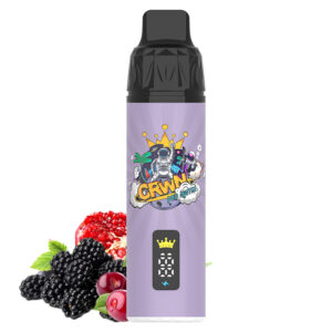 Crwn Starter Kit 9000 Puffs - Image 25