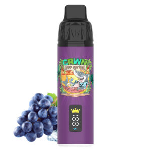 Crwn Starter Kit 9000 Puffs - Image 4